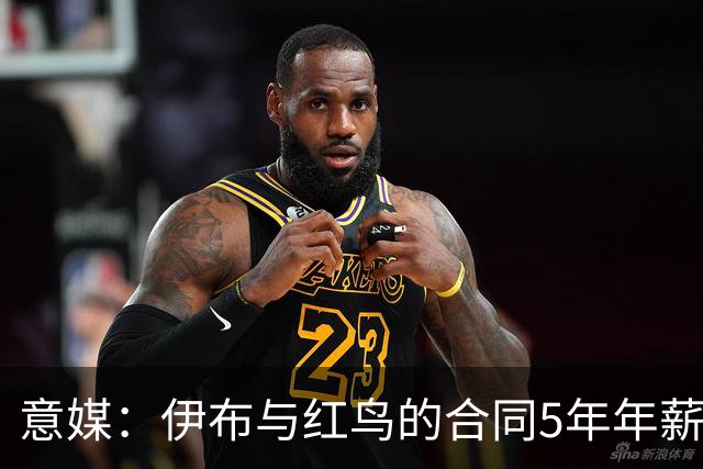 意媒：伊布与红鸟的合同5年年薪100万欧，职责除了竞技还涉及商业