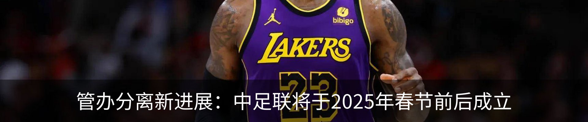 最新动态