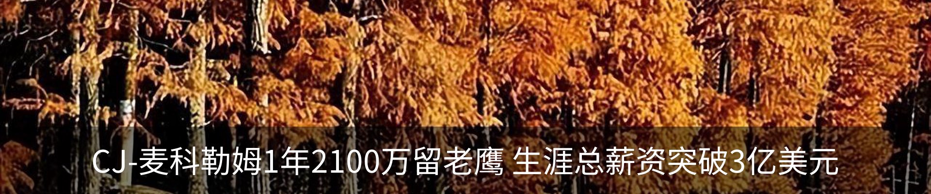 最新动态